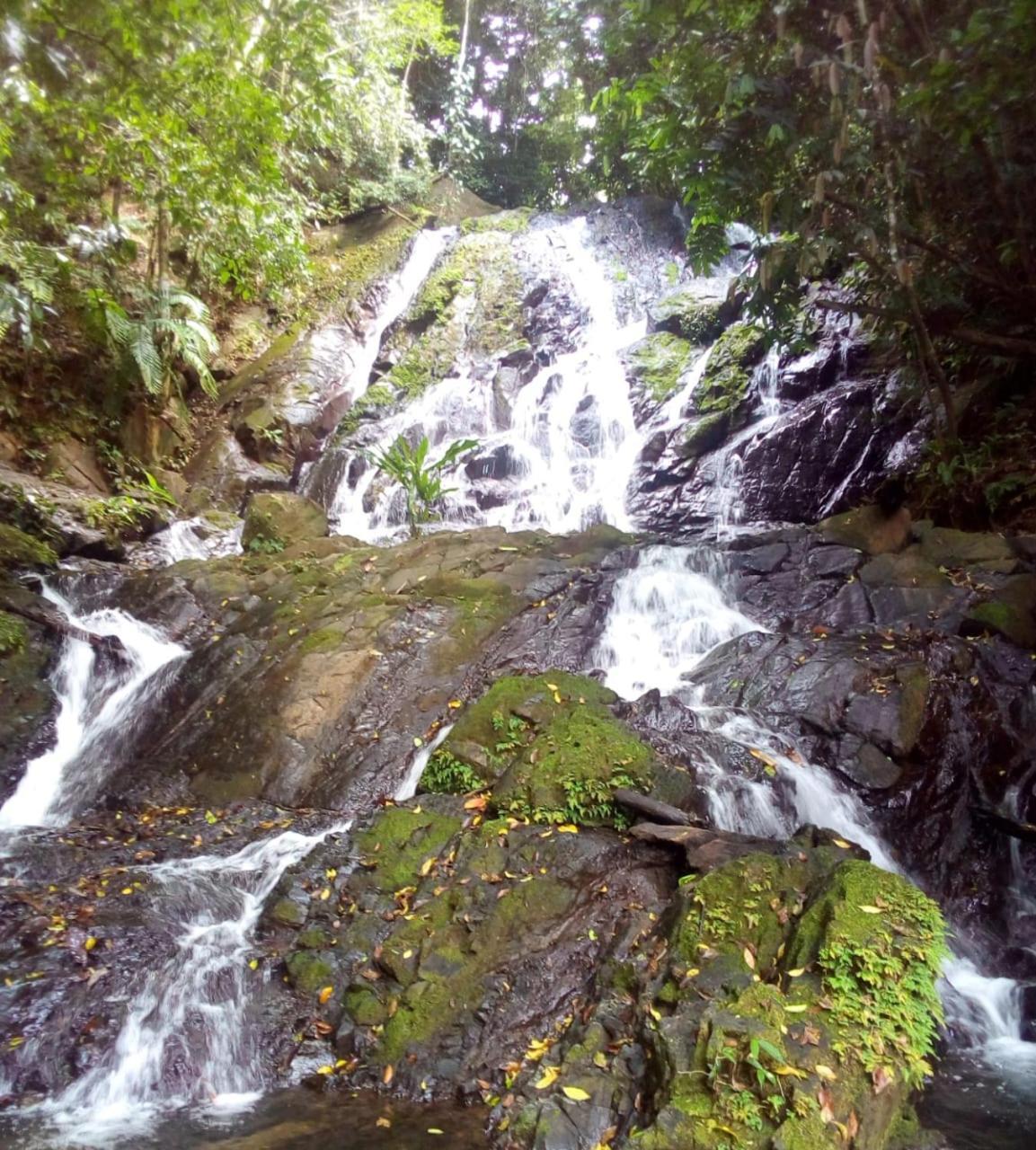 Finca La Puesta Del Sol - Miramar De Sierpe Dış mekan fotoğraf