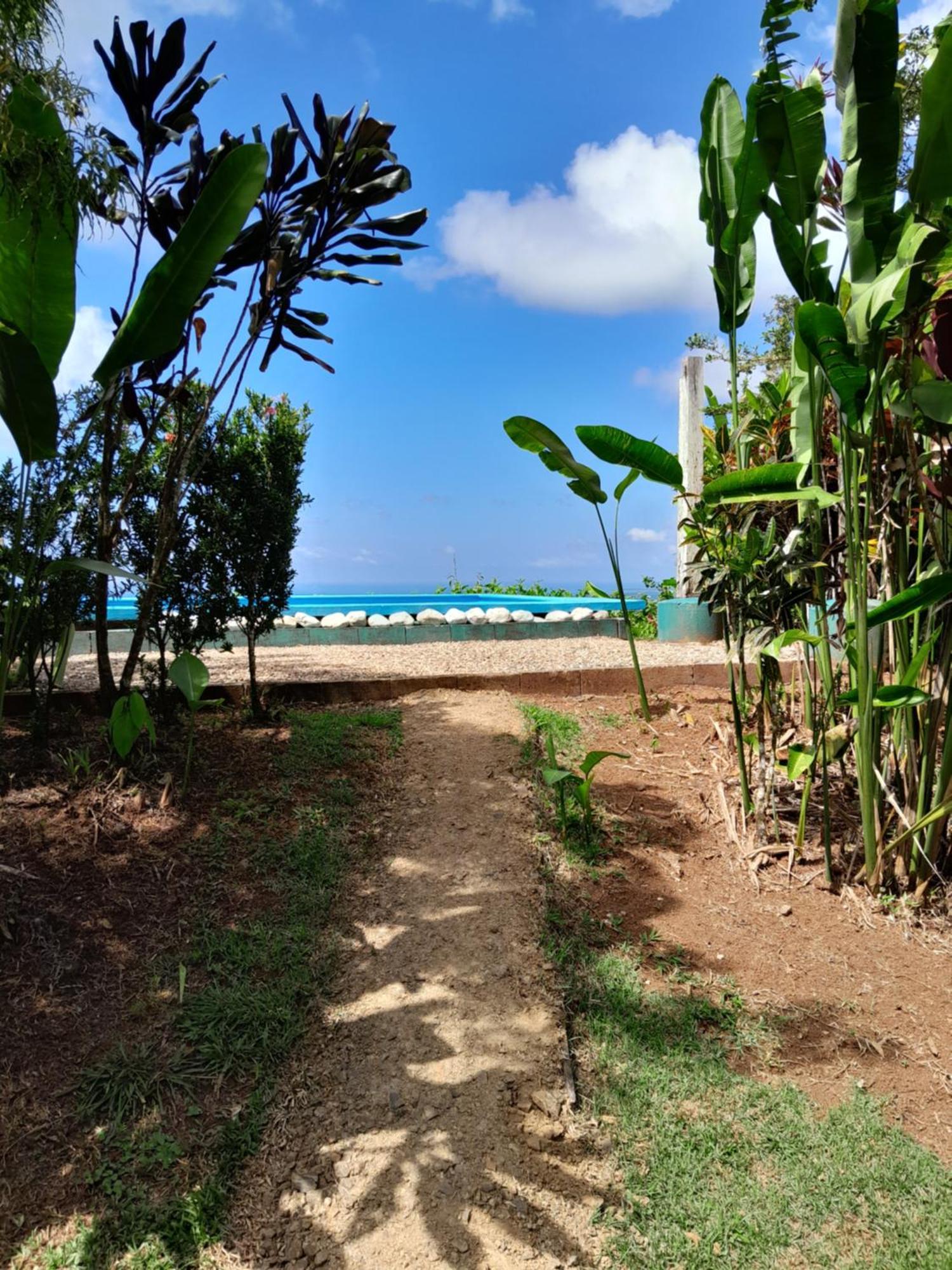 Finca La Puesta Del Sol - Miramar De Sierpe Oda fotoğraf