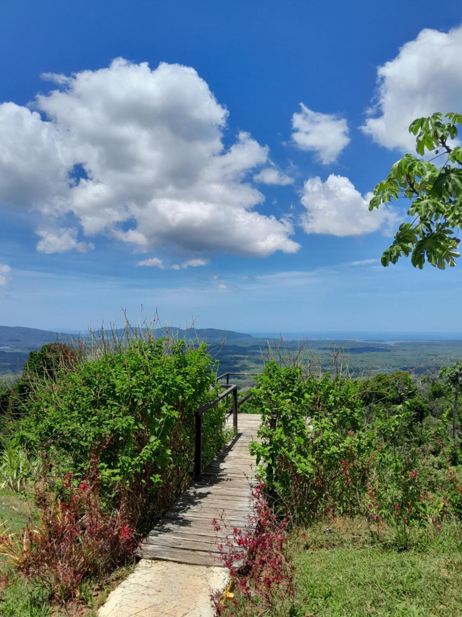 Finca La Puesta Del Sol - Miramar De Sierpe Oda fotoğraf