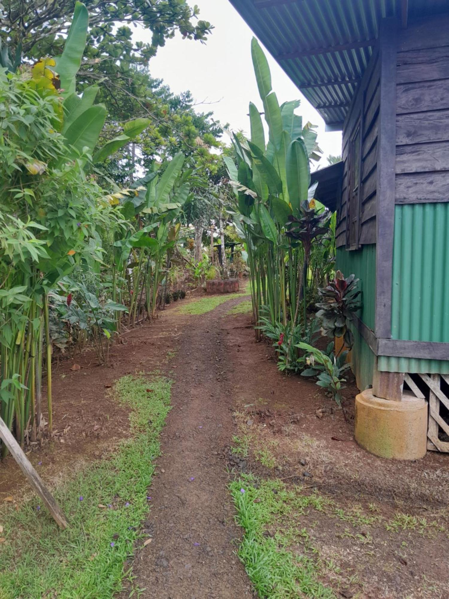 Finca La Puesta Del Sol - Miramar De Sierpe Oda fotoğraf