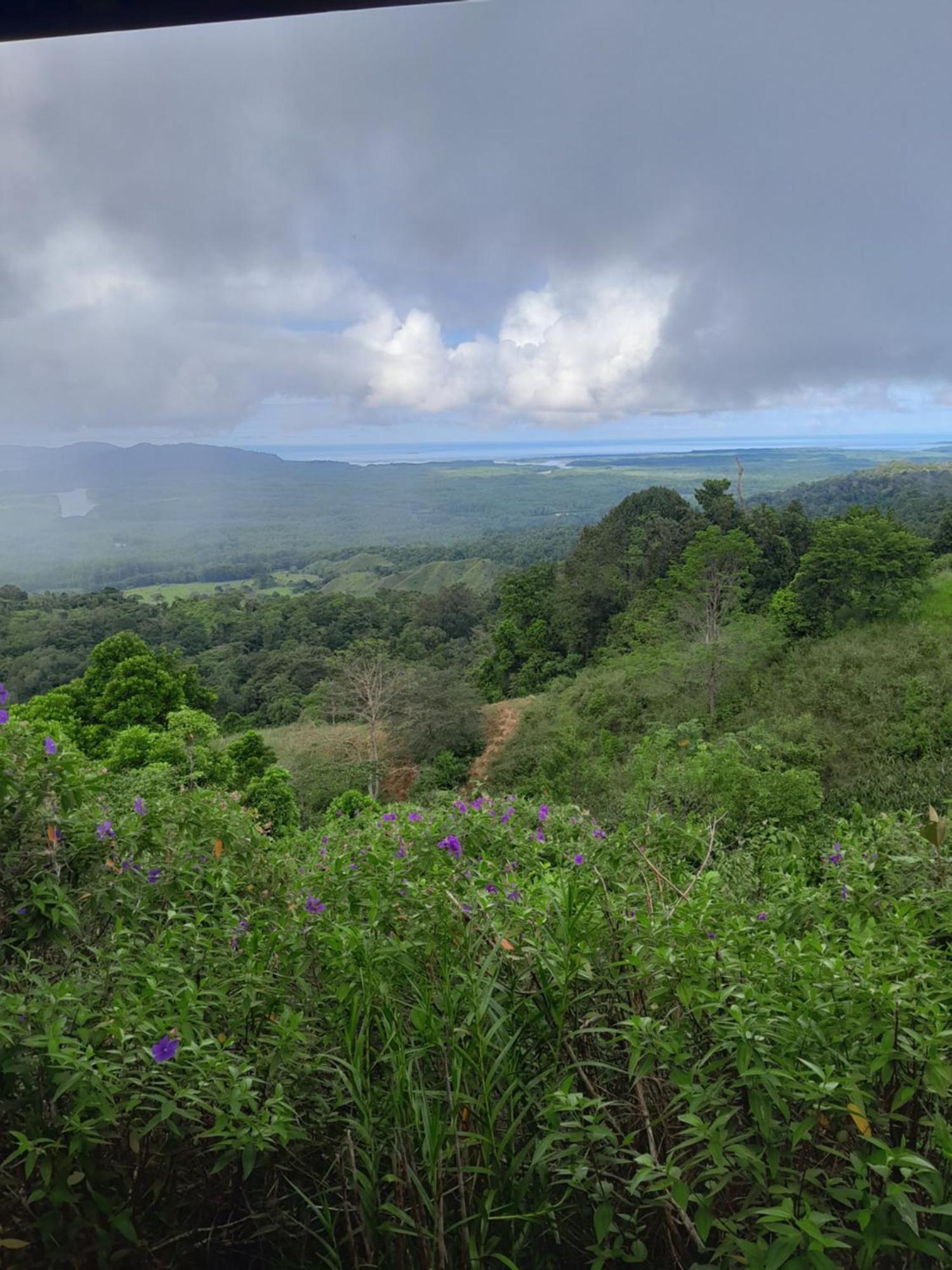 Finca La Puesta Del Sol - Miramar De Sierpe Oda fotoğraf