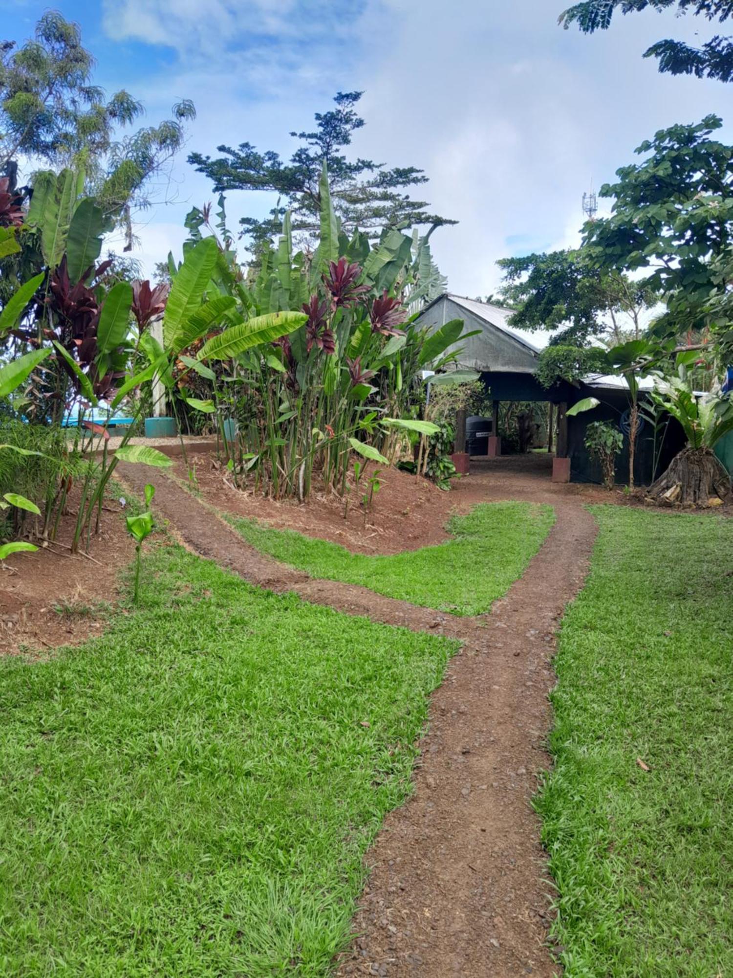 Finca La Puesta Del Sol - Miramar De Sierpe Oda fotoğraf