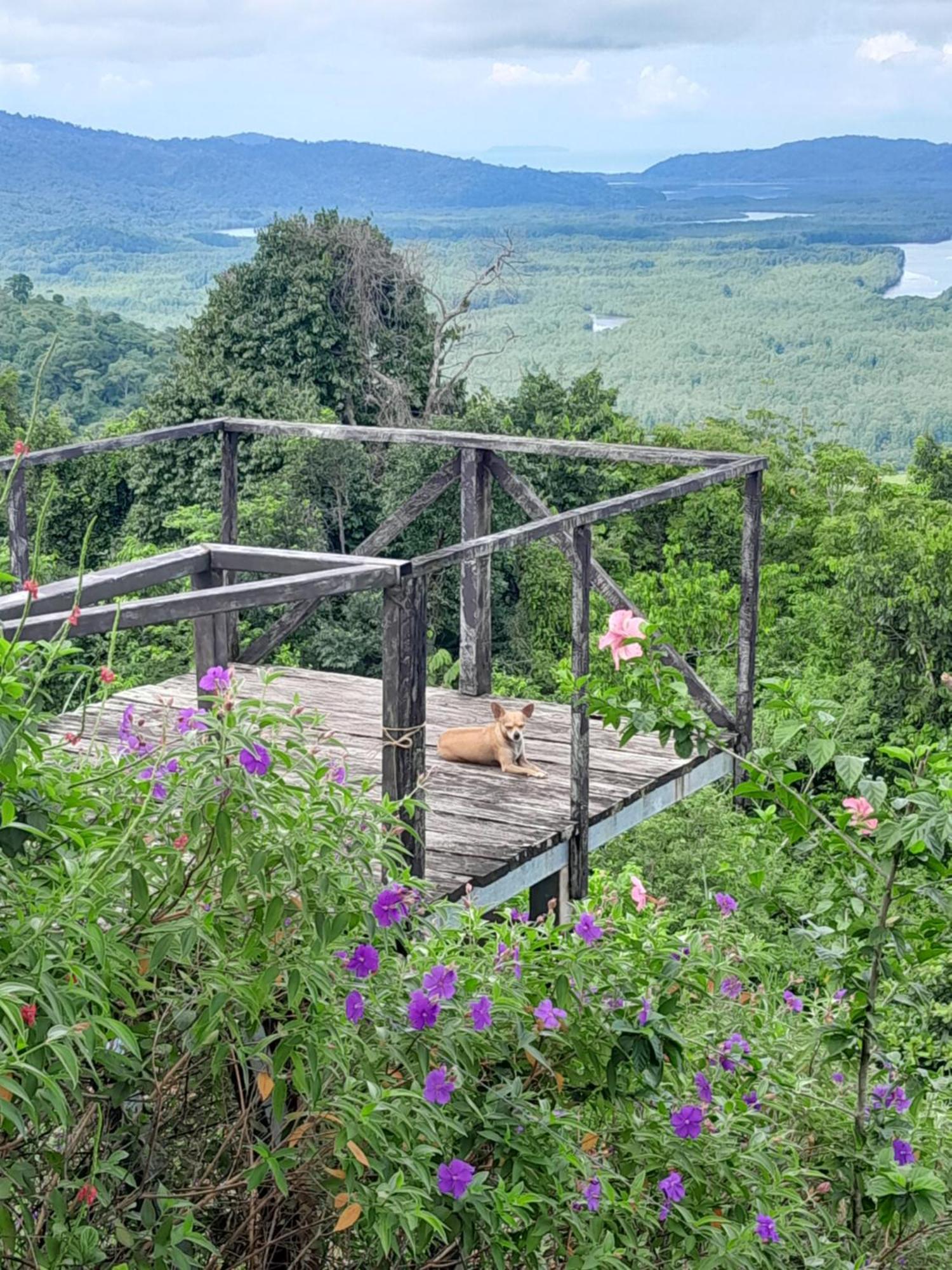 Finca La Puesta Del Sol - Miramar De Sierpe Oda fotoğraf