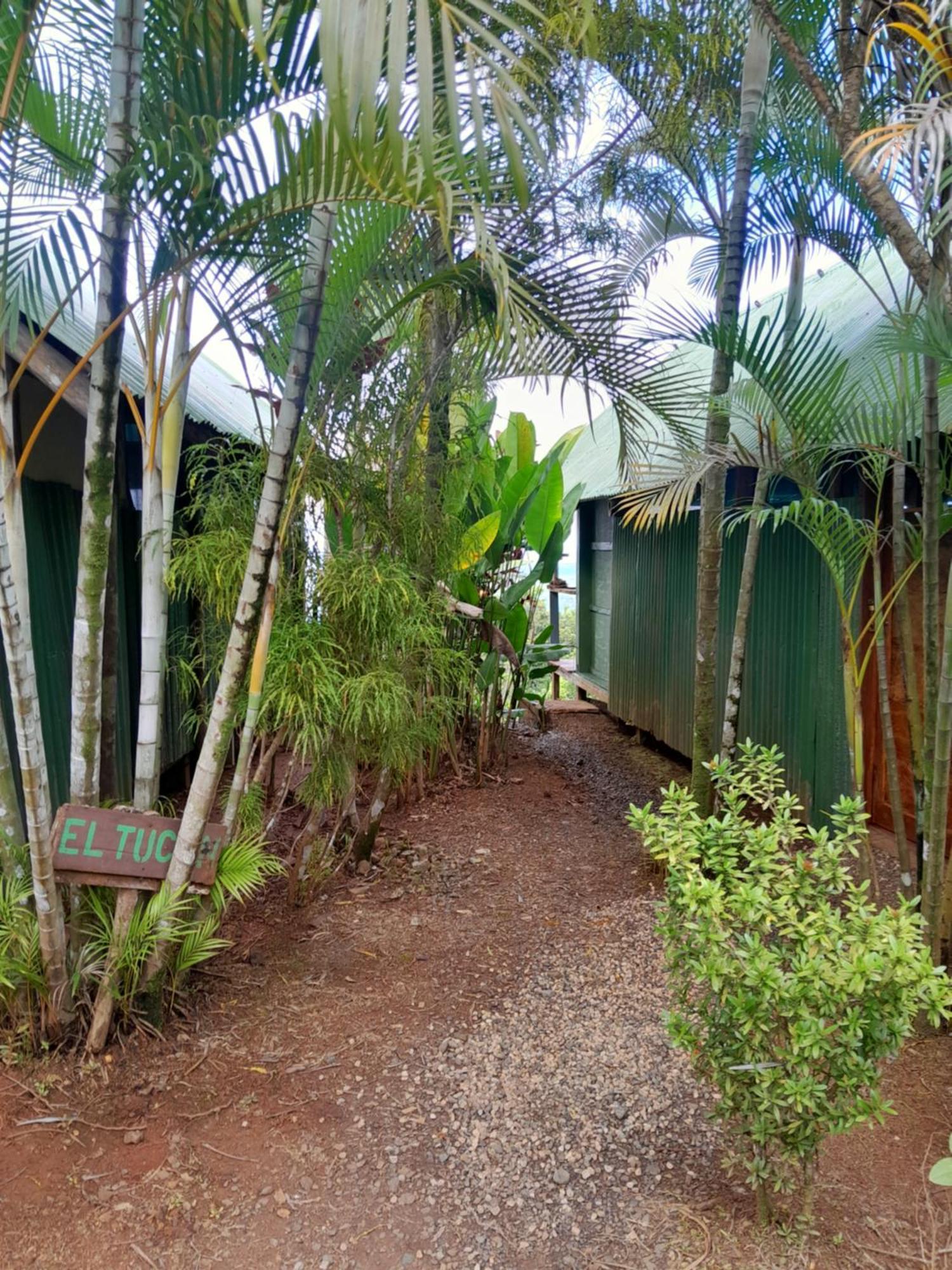 Finca La Puesta Del Sol - Miramar De Sierpe Oda fotoğraf