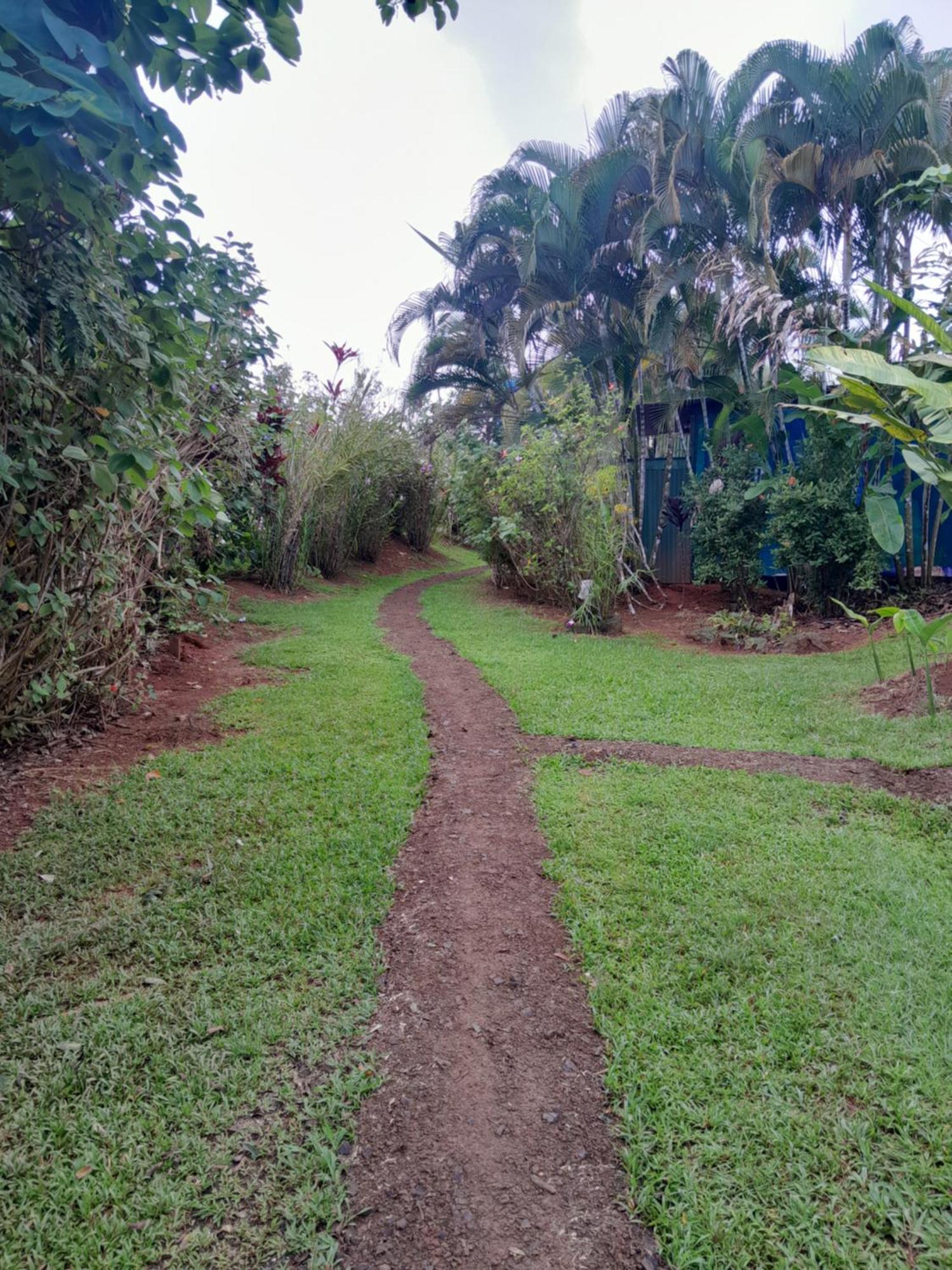 Finca La Puesta Del Sol - Miramar De Sierpe Oda fotoğraf